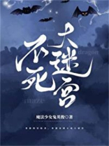 不死大迷宫小说