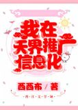 我在天界推广信息化