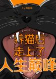 养猫后走上了人生巅峰