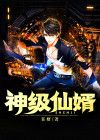 神级仙婿