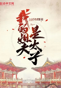 我的姐夫是太子TXT下载免费