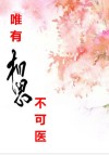 唯有相思不可医是什么意思