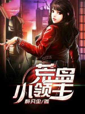 荒岛领主中文版
