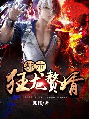 都市狂龙赘婿 小说