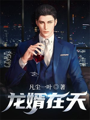 免费阅读龙婿
