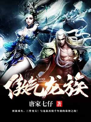 傲天龙族小说