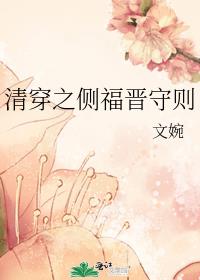 清穿之侧福晋守则第二部