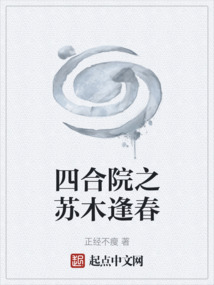 四合院扫荡革委会仓库的小说
