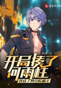 开局揍了何雨柱我成了四合院霸主校对版TXT下载