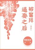 被鳌拜逼娶之后(清穿)