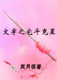 文穿之宅斗克星