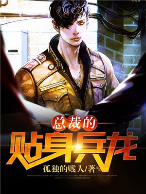 总裁的贴身兵龙全文阅读