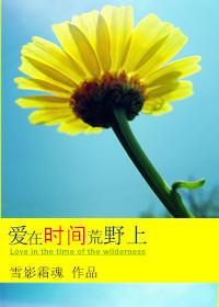 时间的荒野