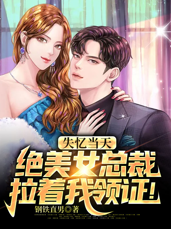失忆总裁的小说
