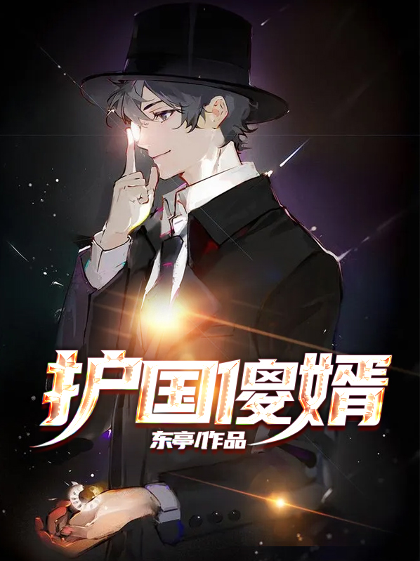 护国神婿完整版