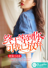 终于等到你,可我已放弃 小说