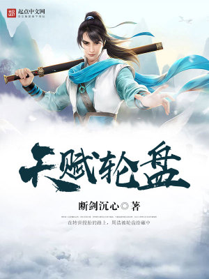 天赋轮盘 小说