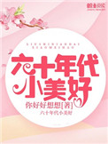 六零之公派丈夫