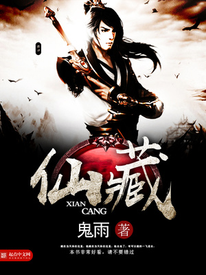 仙藏小说