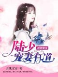 暖婚蜜爱:陆少宠妻有道