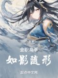 全职高手:如影随形