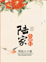 陆家小媳妇 笑佳人 全文免费阅读笔趣阁