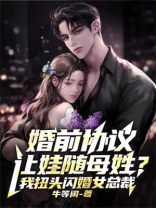 婚前协议免费阅读