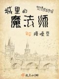 城里的魔法师