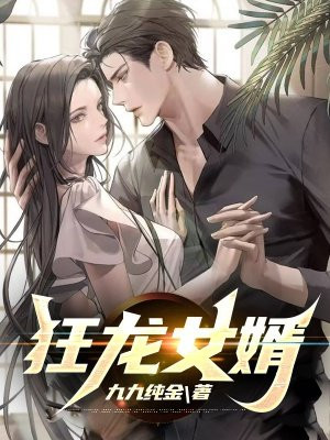 狂龙女婿电视剧