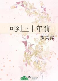 回到三十年前类似小说