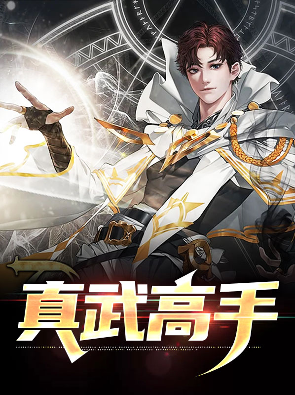 真武高手在都市