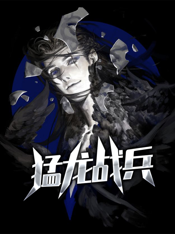 猛龙战机