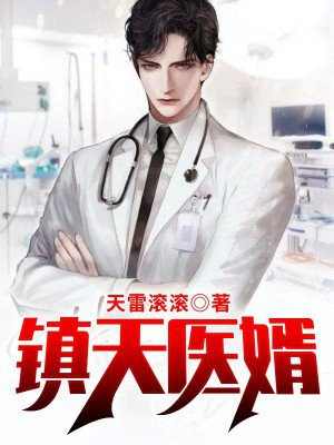 镇天神婿免费阅读