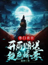 穿越小说之寒门贵妻