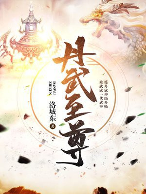 丹武至尊txt