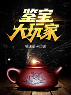 鉴宝大玩家莫小鱼笔趣