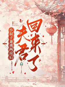 小叔子兼祧两房后,夫君回来了(完结)