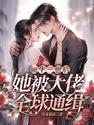 偷偷生下三胞胎的小说