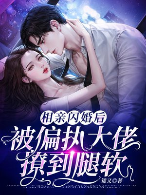 相亲闪婚的全部小说
