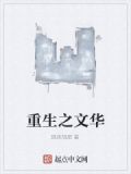 重生之文华