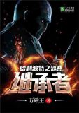 哈利波特之超然继承者