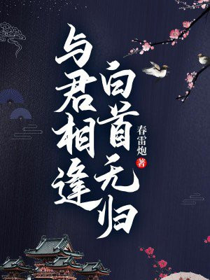 与君相逢,白首无归免费阅读