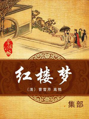 红楼梦读后感800