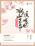 废材逆袭:冰山王爷倾城妃