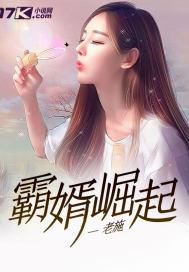 霸婿崛起 老施