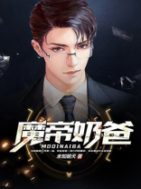 魔帝奶爸在线阅读