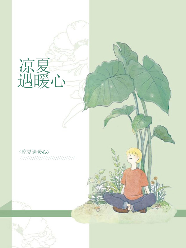 夏凉夏暖小说