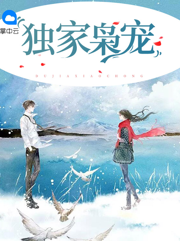 独家枭宠 小说