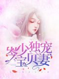 岑少独宠宝贝妻全文阅读