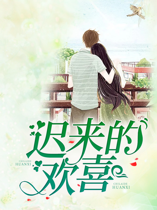 小说你是迟来的欢喜